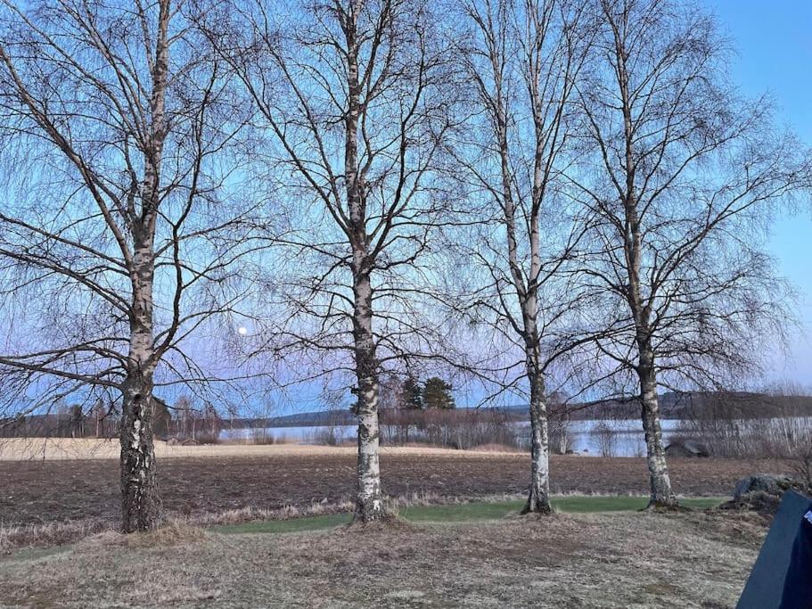 Lake Lodge Roennaes Leksand Dış mekan fotoğraf